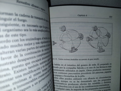 91- Enzimas. La Fuente De La Vida - D. A. López M. D.