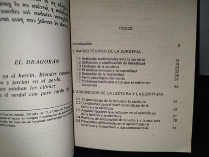 57- El Niño Zurdo - Raquel Peisekovicius