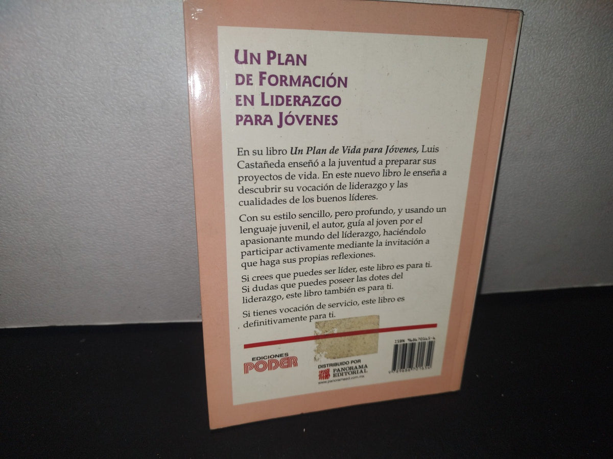 34- Un Plan De Formación En Liderazgo Para Jóvenes - Luis Castañeda