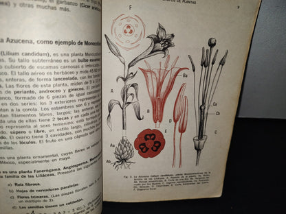75- Biología. Segundo Curso - Óscar Sánchez S., Salvador Lima G. - 1971