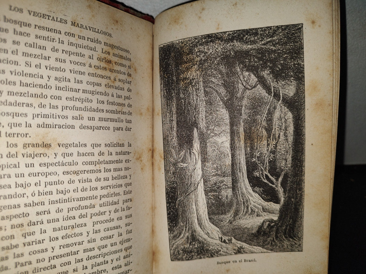65- Las Maravillas De La Vegetación - F. Marion - 1873