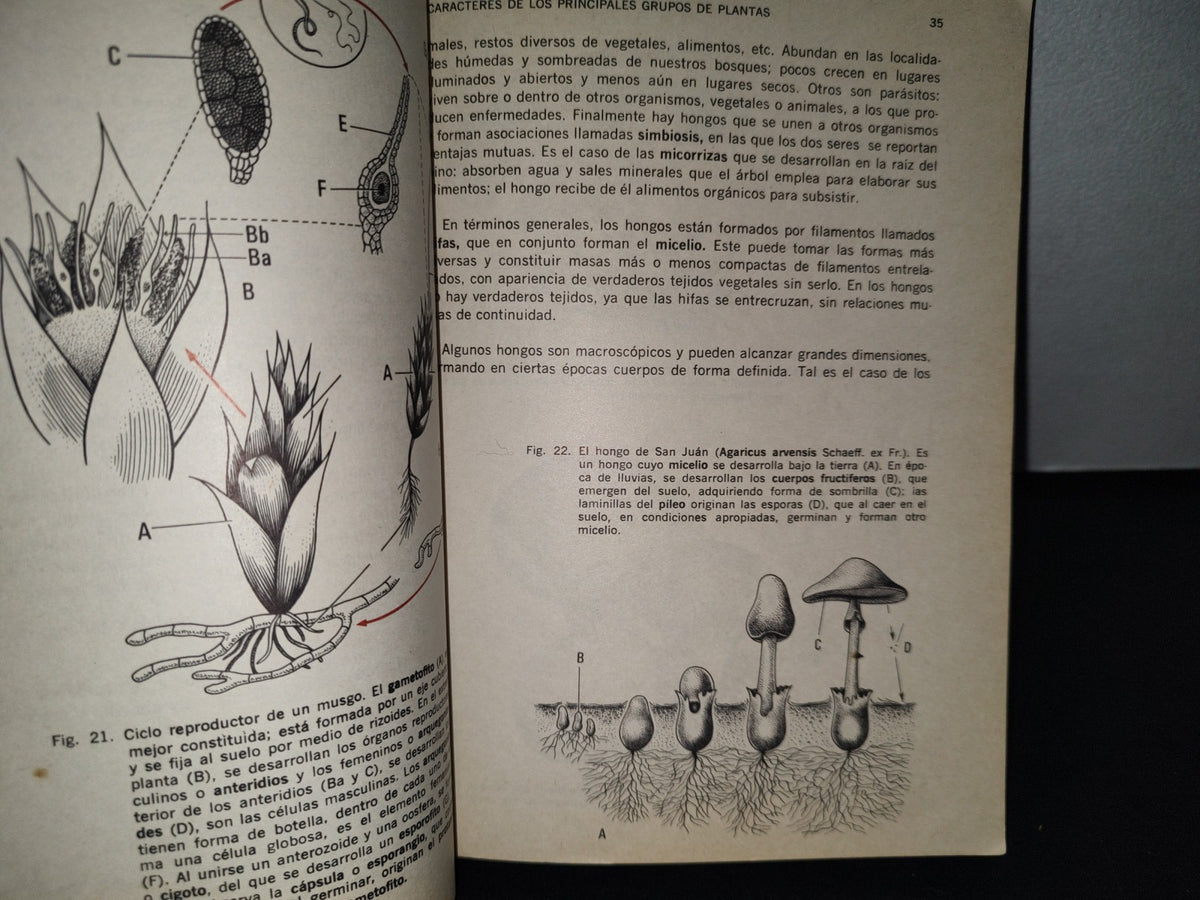 75- Biología. Segundo Curso - Óscar Sánchez S., Salvador Lima G. - 1971