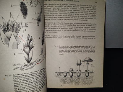 75- Biología. Segundo Curso - Óscar Sánchez S., Salvador Lima G. - 1971