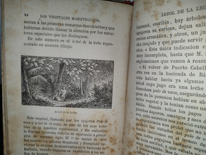 65- Las Maravillas De La Vegetación - F. Marion - 1873