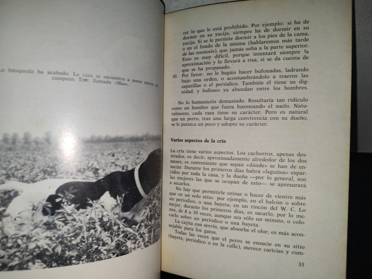 84- El Pointer. Cómo Se Cría, Cómo Se Adiestra - Eugenio Craveri - 1973