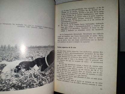 84- El Pointer. Cómo Se Cría, Cómo Se Adiestra - Eugenio Craveri - 1973