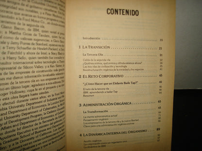 10- Administración En La Tercera Ola. Los Controles Competitivos - H. Alan Raymond