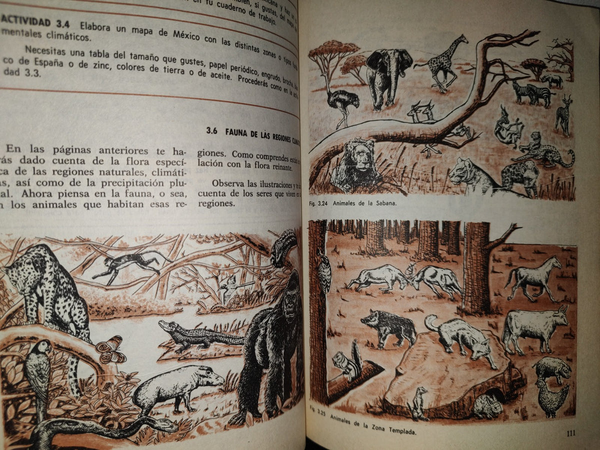 91- Educación Dinámica. Ciencias Naturales. Tercer Grado - E. Moreno, M. Moreno - 1977