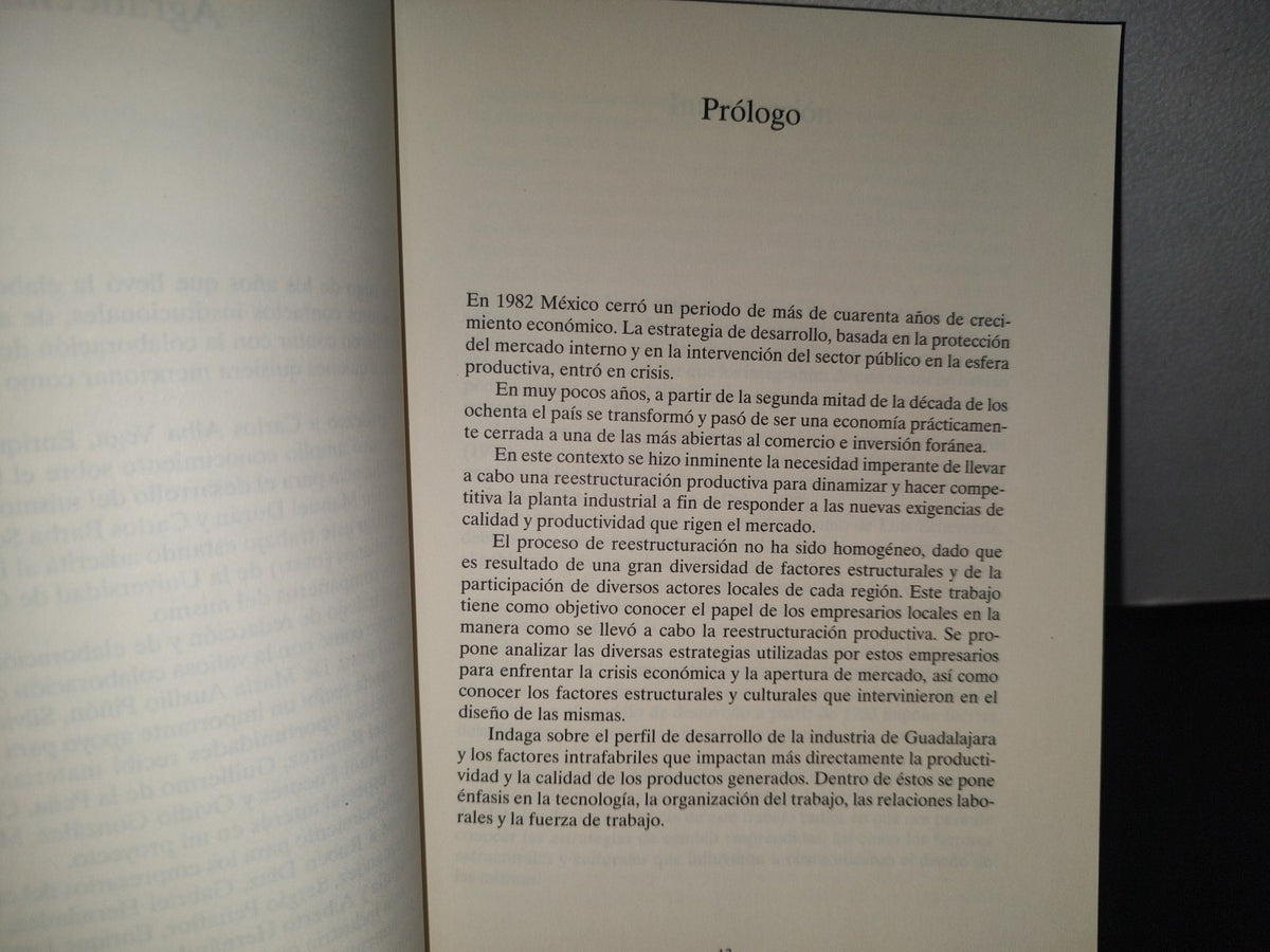 84- Estrategias De Reestructuración Productiva De Los Empresarios Tapatíos De La Industria Del Calzado - Elena De La Paz Hernández Águila - Universidad De Guadalajara - Primera Edición 2006