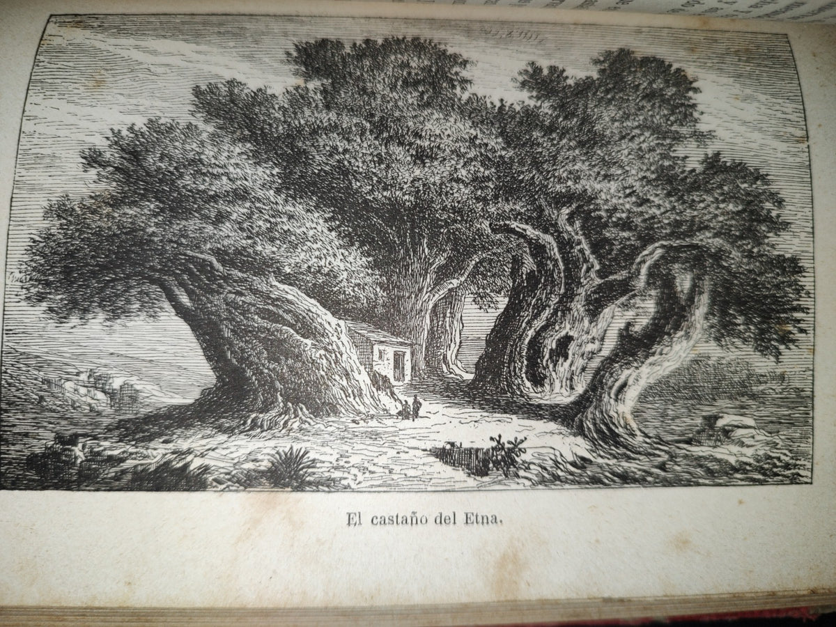 65- Las Maravillas De La Vegetación - F. Marion - 1873