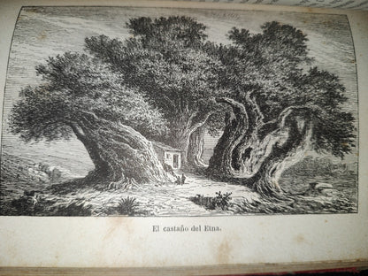 65- Las Maravillas De La Vegetación - F. Marion - 1873