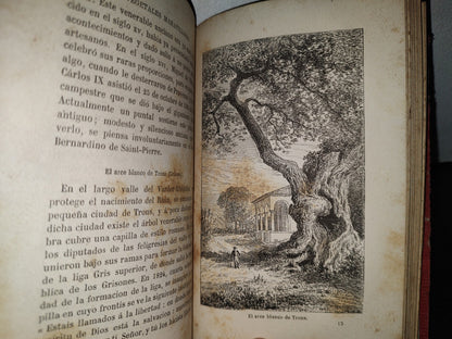 65- Las Maravillas De La Vegetación - F. Marion - 1873