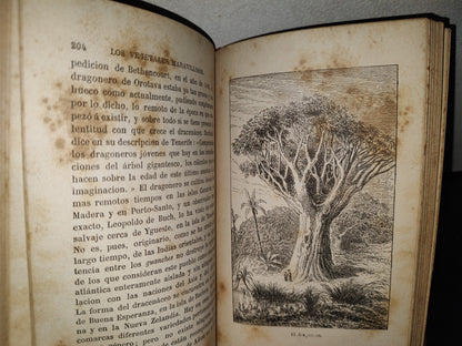 65- Las Maravillas De La Vegetación - F. Marion - 1873