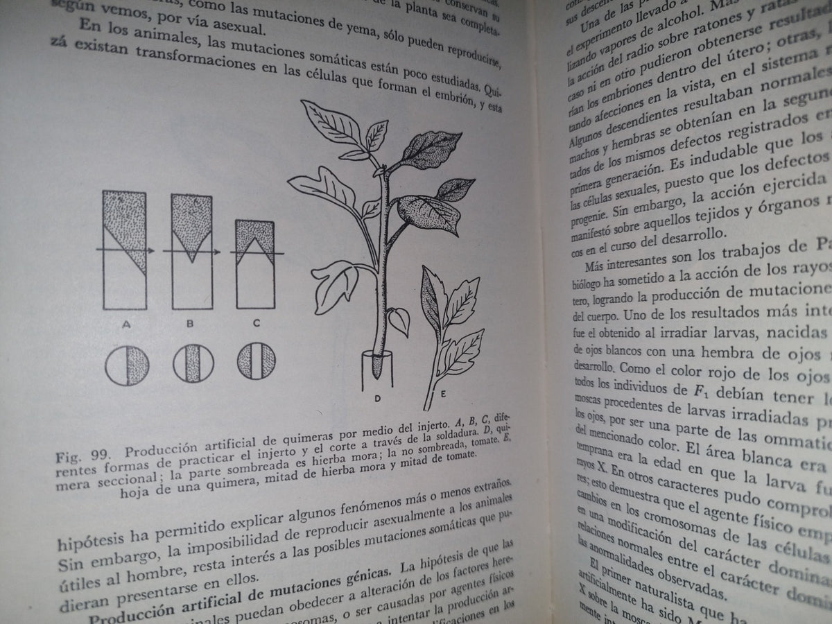 196- Genética General Y Aplicada - José Luis De La Loma