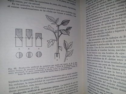 196- Genética General Y Aplicada - José Luis De La Loma