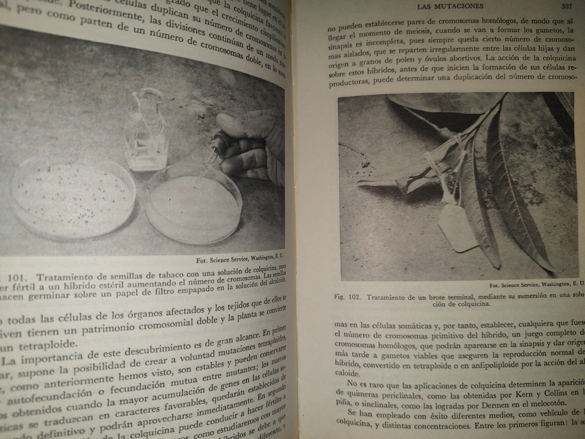 196- Genética General Y Aplicada - José Luis De La Loma