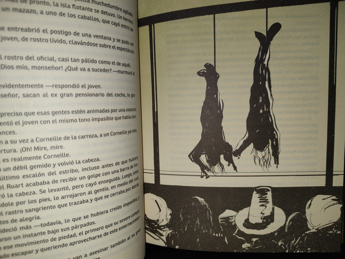 118- El Tulipán Negro - Alejandro Dumas - Staudeg - Primera Edición, 2014