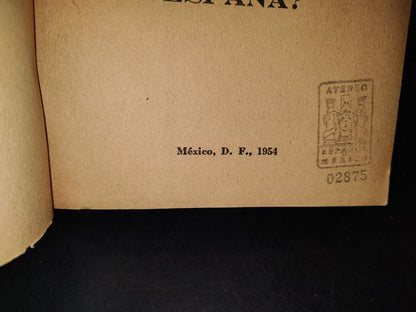 77- ¿Qué Habéis Hecho De España? - Felisa Gil - México D. F., Primera Edición, 1954