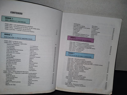 93- La Flauta Dulce En El Mundo De La Música - Damid Mora Zamarripa - Ediciones Euterpe