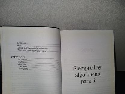 85- Caminemos Hacia El Éxito - Miguel Ángel Moyrón Paredes - Primera Edición 1997