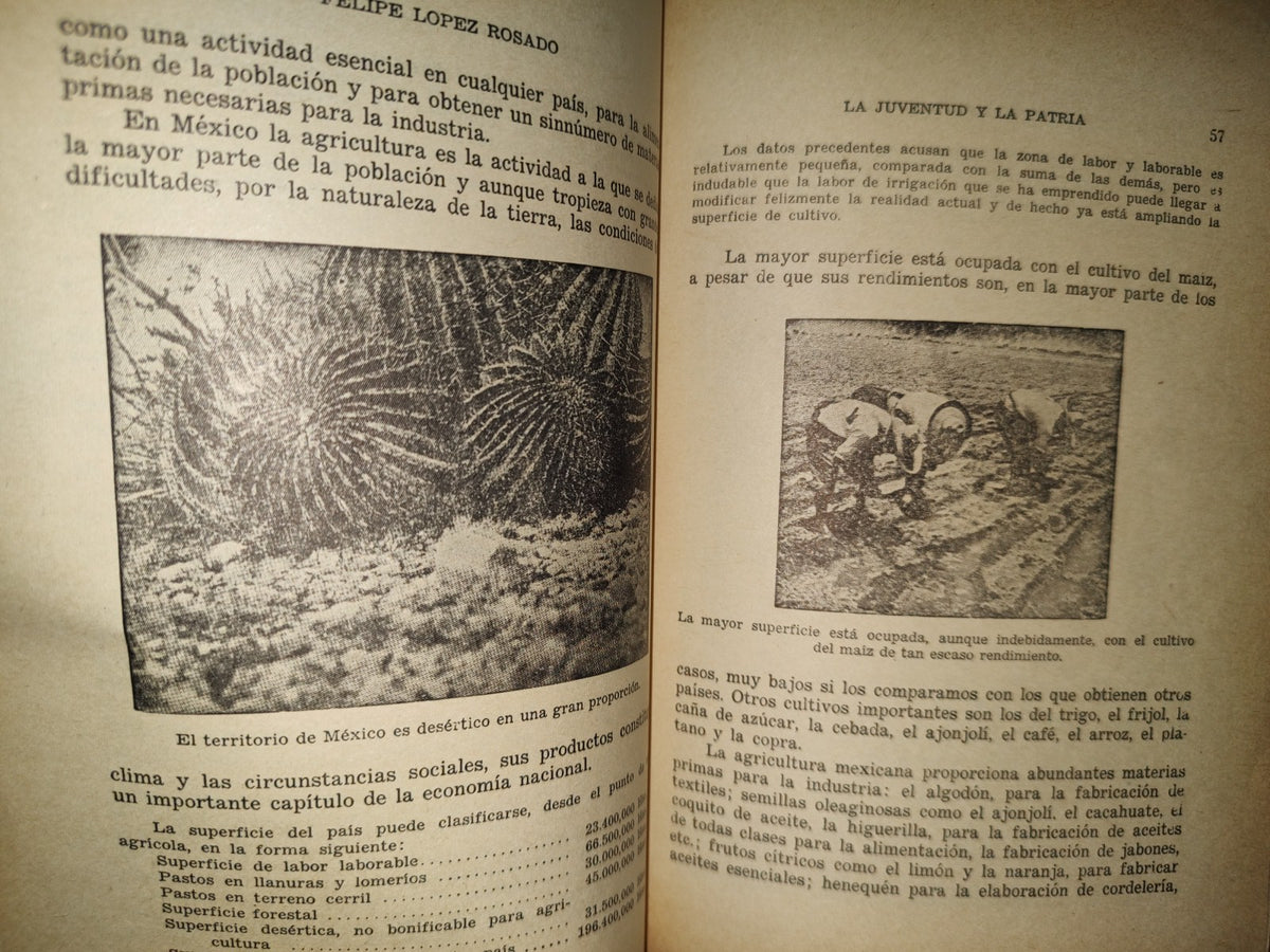 202- La Juventud Y La Patria - Felipe López Rosado - Editorial Porrúa, S. A. - 1969