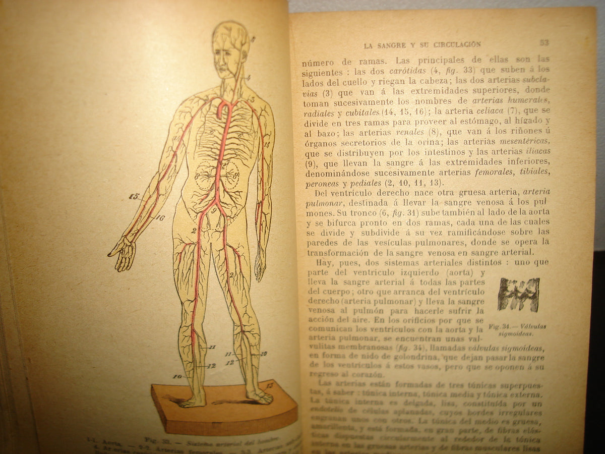 167- Historia Natural - J. Langlebert - 1924