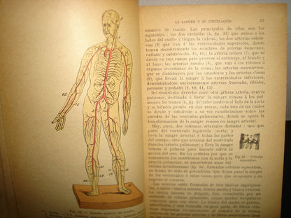 167- Historia Natural - J. Langlebert - 1924
