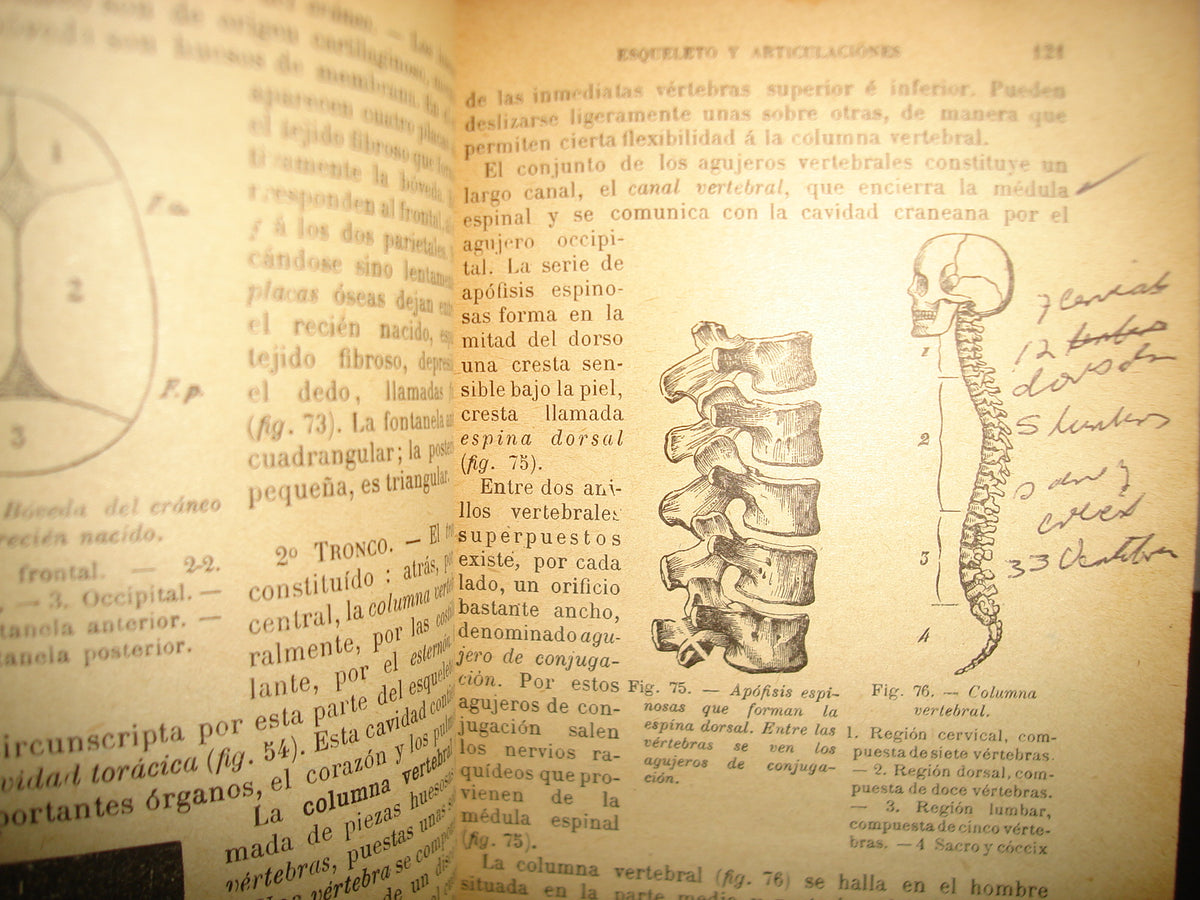 167- Historia Natural - J. Langlebert - 1924
