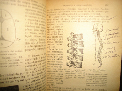 167- Historia Natural - J. Langlebert - 1924