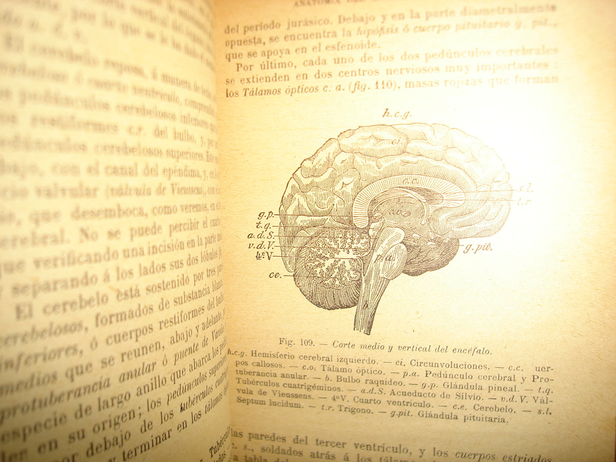 167- Historia Natural - J. Langlebert - 1924