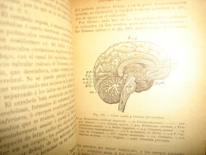 167- Historia Natural - J. Langlebert - 1924