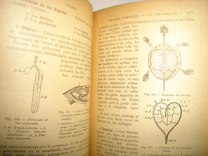 167- Historia Natural - J. Langlebert - 1924