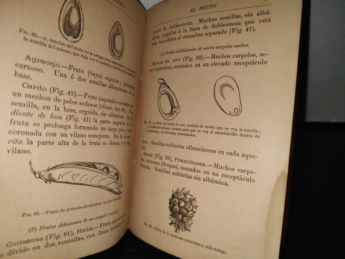 65- Nociones De Botánica - J. D. Hooker - 1881
