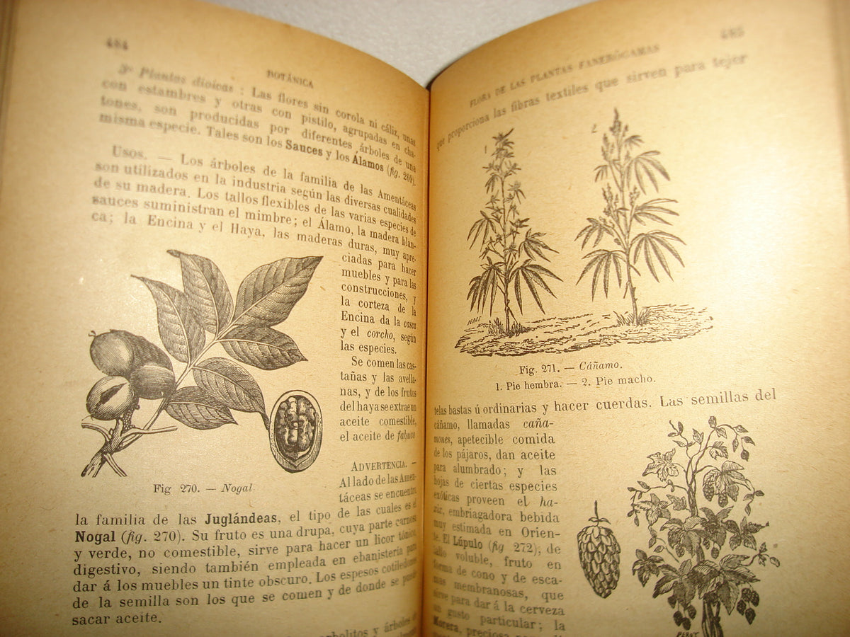 167- Historia Natural - J. Langlebert - 1924