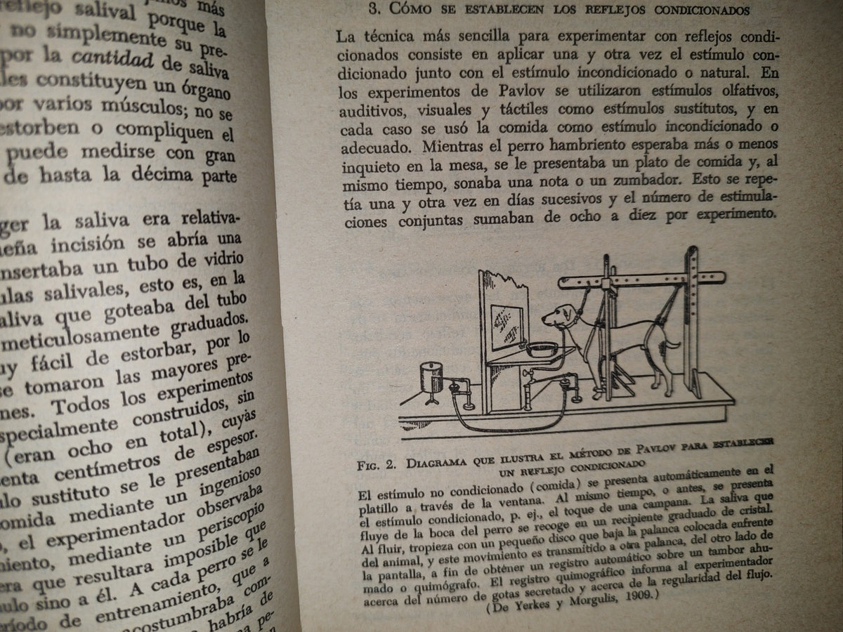 78- Las Grandes Realizaciones En La Psicología Experimental - Henry E. Garrett - 1987