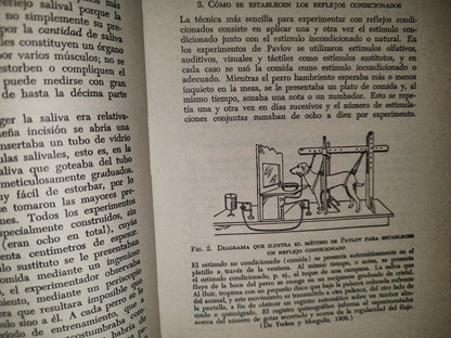 78- Las Grandes Realizaciones En La Psicología Experimental - Henry E. Garrett - 1987