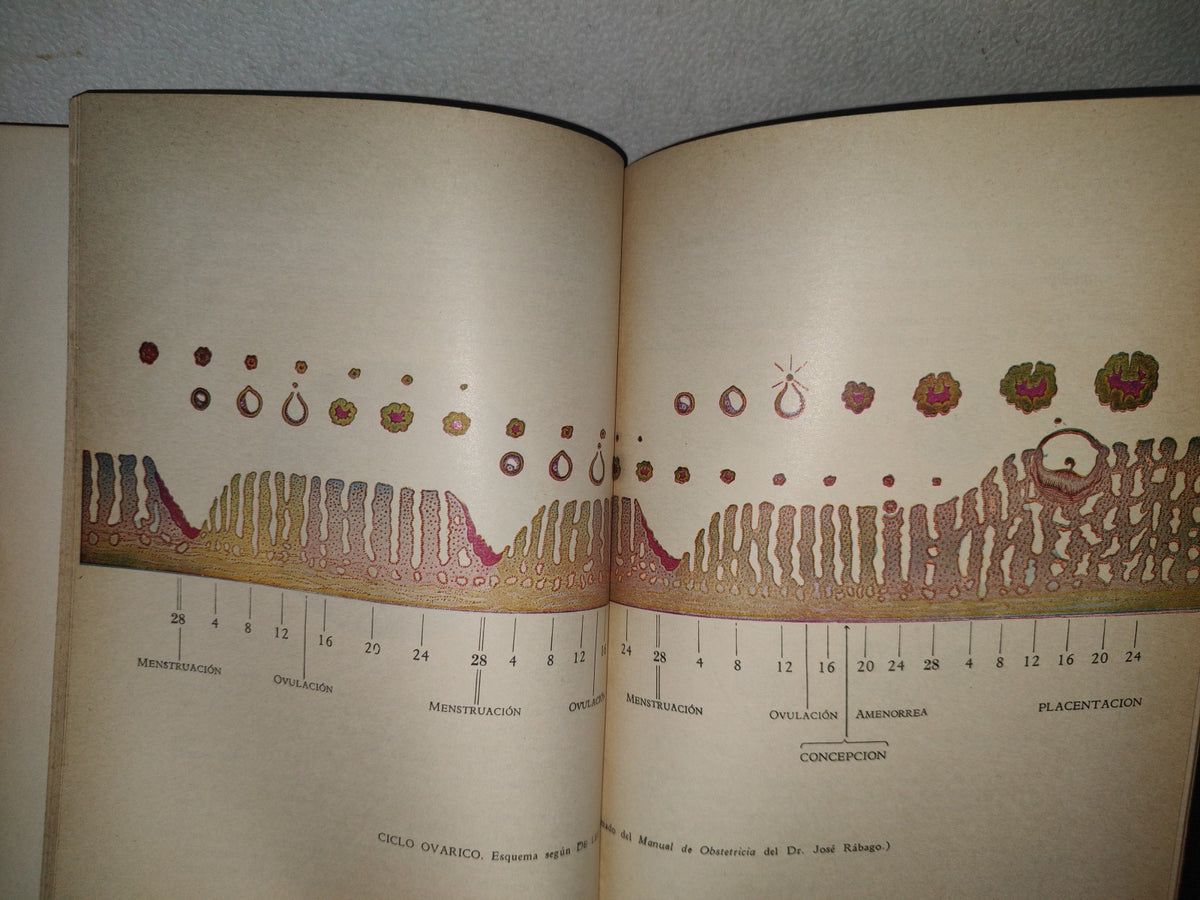 132- Biología - José De Lille Borja - 1967