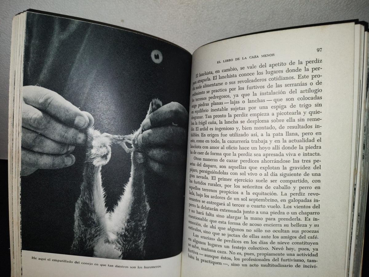 87-2- El Libro De La Caza Menor - Miguel Delibes - Ediciones Destino - 1973