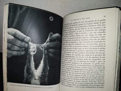 87-2- El Libro De La Caza Menor - Miguel Delibes - Ediciones Destino - 1973