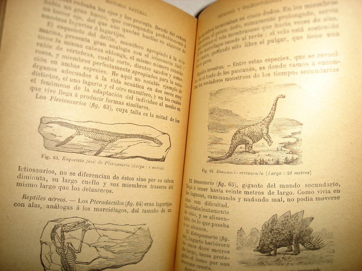 167- Historia Natural - J. Langlebert - 1924