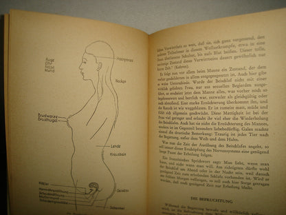 161- Libro Sobre Sexualidad En Alemán - Unter Vier Augen - Dr. Med. M. Rinard - 40'S