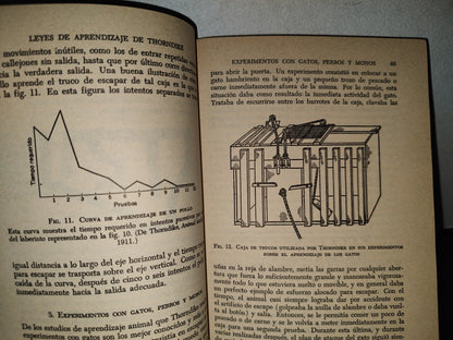 78- Las Grandes Realizaciones En La Psicología Experimental - Henry E. Garrett - 1987