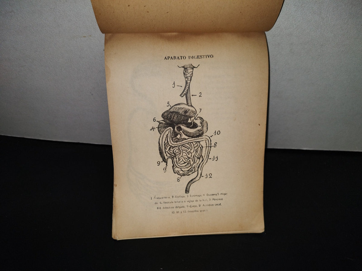 139- Antiguo Libro De Primaria. Colección De Ciencias Naturales, 3Er. Año - 50'S - 60'S
