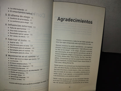 100- Consigue Tus Metas. La Guía Definitiva Para Alcanzar El Éxito Personal - David Molden