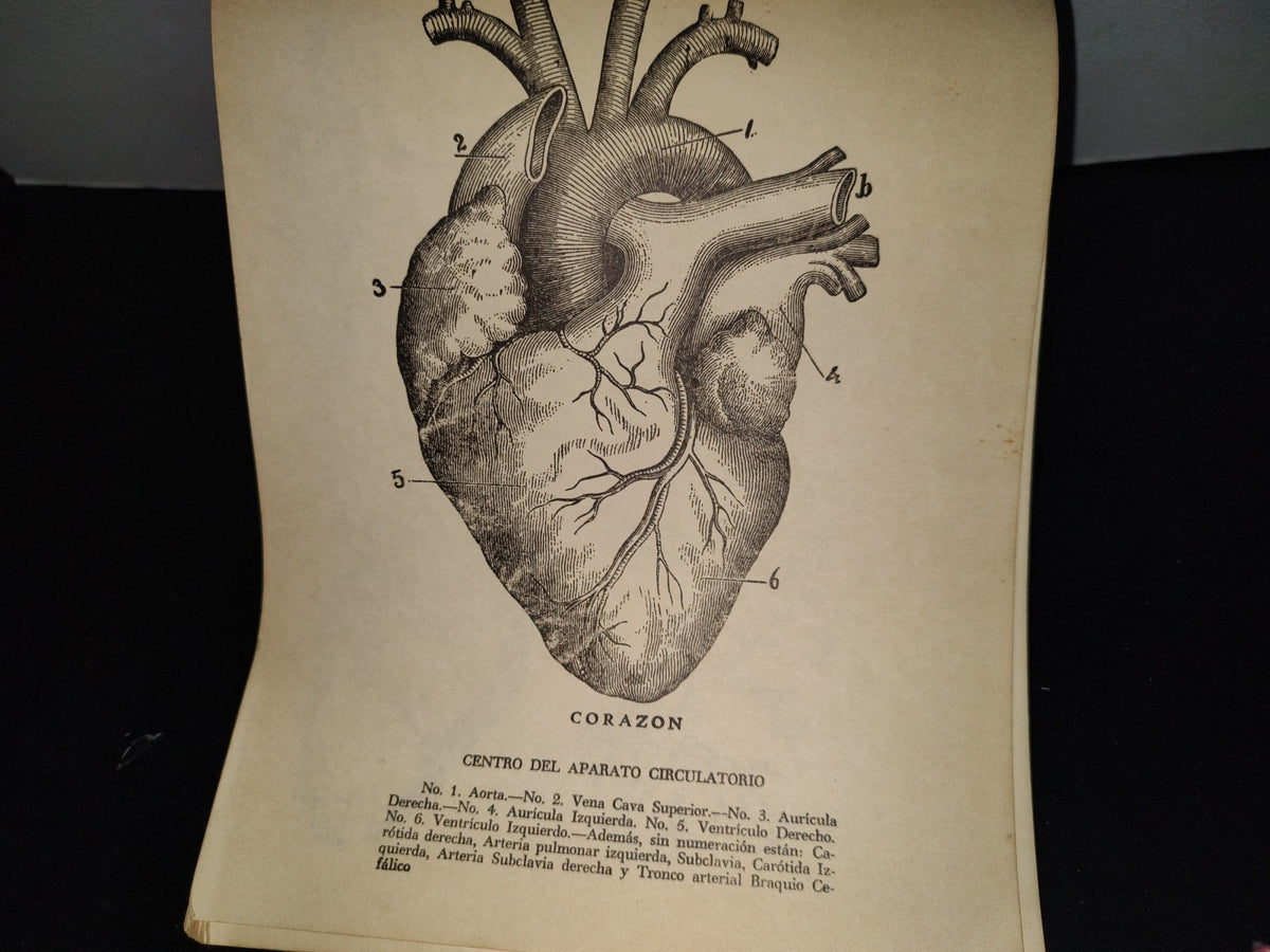 139- Antiguo Libro De Primaria. Colección De Ciencias Naturales, 3Er. Año - 50'S - 60'S