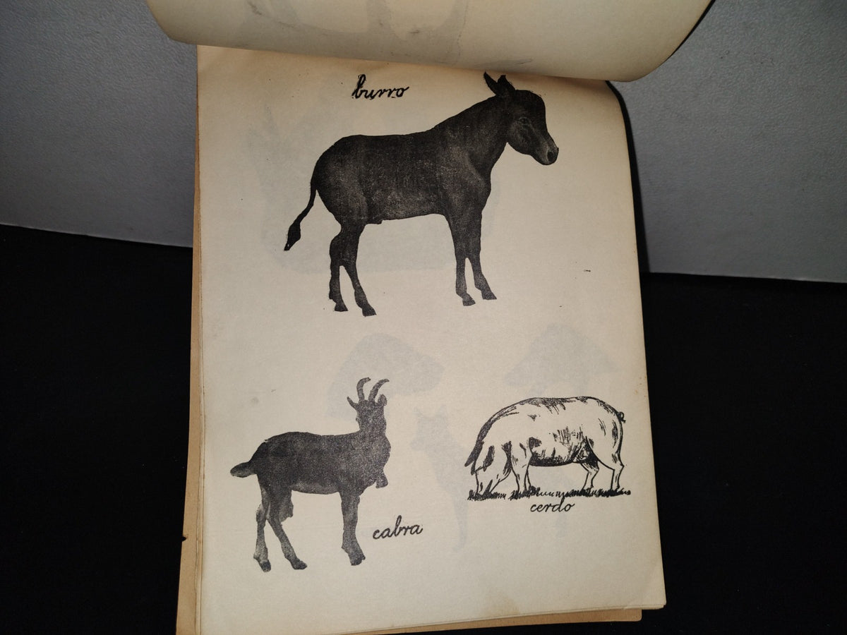 139- Antiguo Libro De Primaria. Colección De Ciencias Naturales, 3Er. Año - 50'S - 60'S