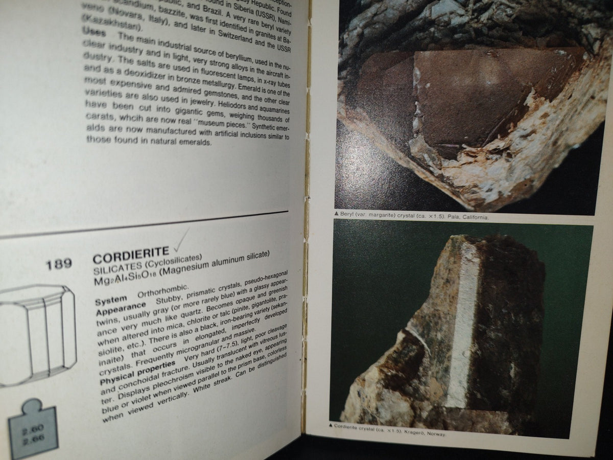 196- Simon & Schuster's Guide To Rocks & Minerals - 1978