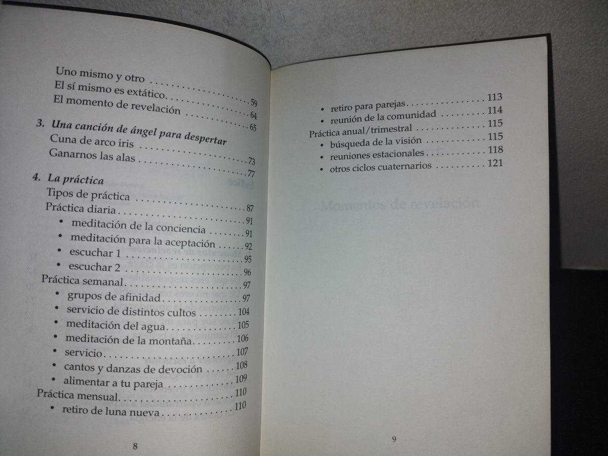 209- Momentos De Revelación. Aceptar La Perfección De La Vida - Paul Ferrini