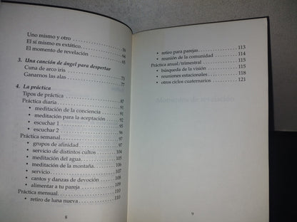 209- Momentos De Revelación. Aceptar La Perfección De La Vida - Paul Ferrini
