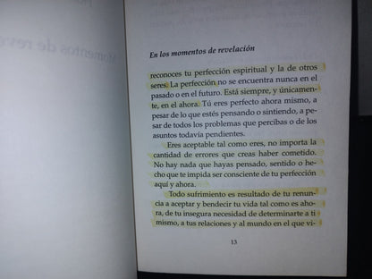 209- Momentos De Revelación. Aceptar La Perfección De La Vida - Paul Ferrini